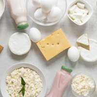 Prebiotyki – niedoceniane paliwo dla Twojego mikrobiomu. Czym są i gdzie ich szukać?