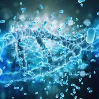 Probiotyki pod lupą: Jak działają, kiedy pomagają i czy warto stosować je codziennie?