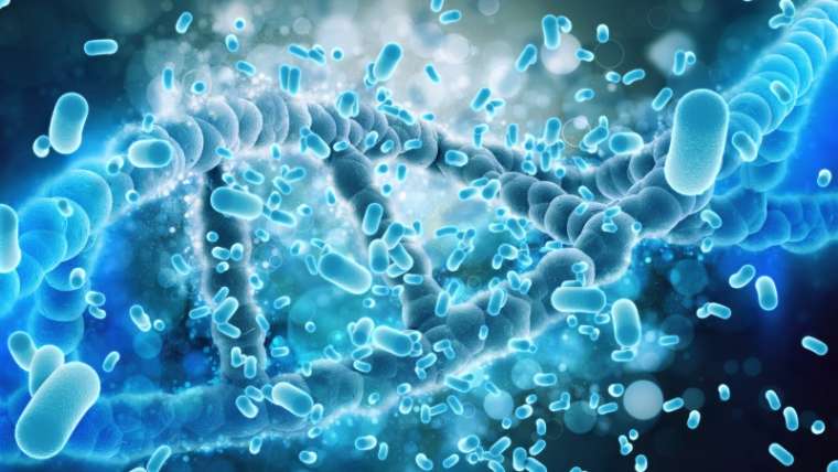 Probiotyki pod lupą: Jak działają, kiedy pomagają i czy warto stosować je codziennie?